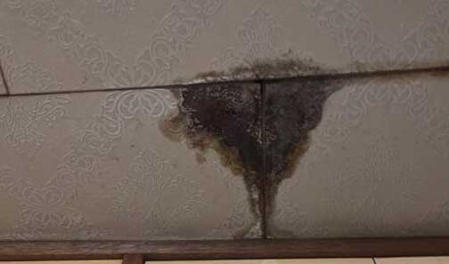 雨漏り修理イメージ