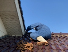 雨漏りを根本から解決