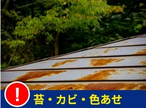 屋根の表面に苔やカビ、色あせが目立つ