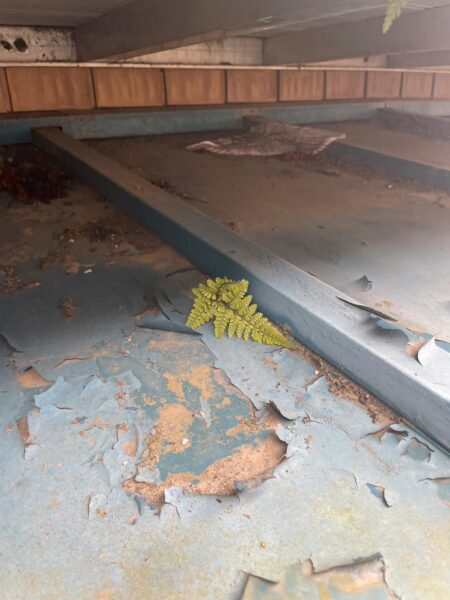 さいたま市岩槻区にて雨漏り修理〈天井の雨染み〉の施工前写真